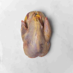Whole Pheasant - Ben Rigby Game - Frozen Fresh