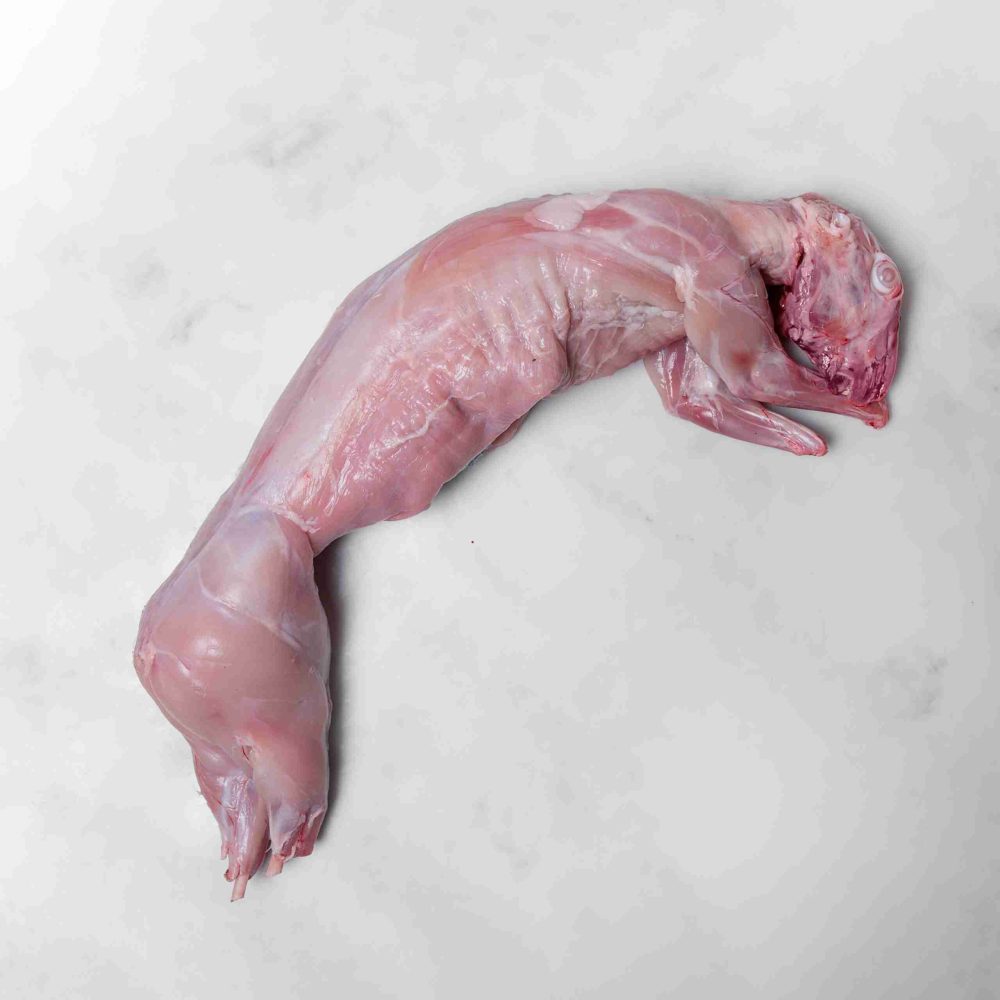 Whole Rabbit - Ben Rigby Game - Frozen Fresh
