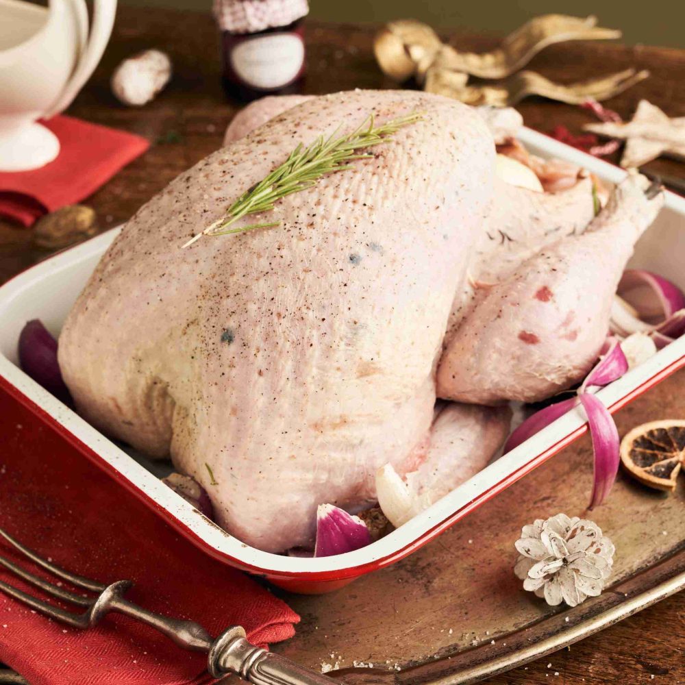 KellyBronze Turkeys